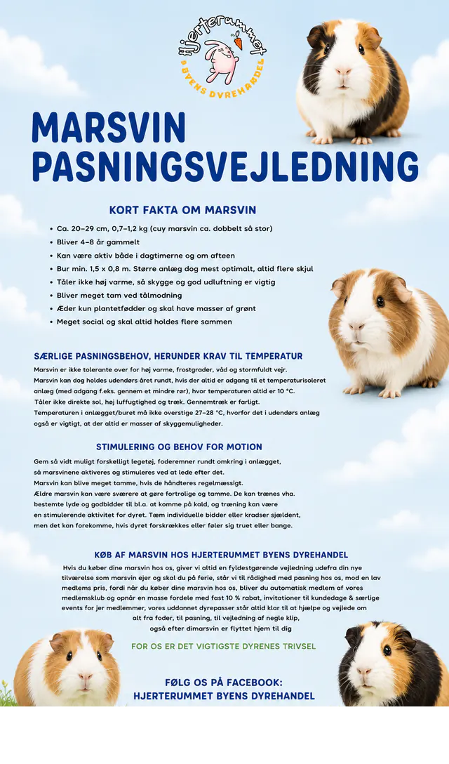 Hjerterummets pasningsvejledning til marsvin